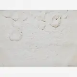 Frans Krajcberg, RELEVO, Xilogravura em papel japonês