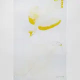 Antonio Gomide, Pavão Real, c.1959