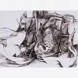 Roberto Burle Marx, Raízes