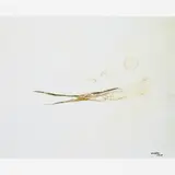 Pintura A.A by Manabu Mabe, ÓLEO SOBRE TELA, offered Aug 1999