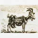 Pablo Picasso, La Chévre