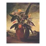 Roberto Burle Marx, Vaso com Flores, (c.1938)