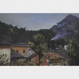 Santa Olalla, Telhados no Cosme Velho, ÓLEO SOBRE MADEIRA