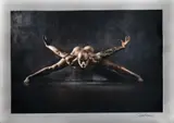 Arthur Wolkovier, Sem Título, fotografia