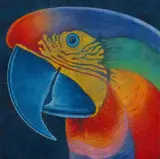 Claudio Tozzi, Papagalia, 1981, óleo sobre placa