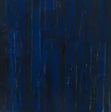 Gonçalo Ivo, Floresta