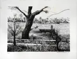Sem Título by Augusto Rodrigues, 1981, litogravura, offered Jan 2026