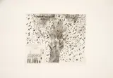 Evandro Carlos Jardim, Sem Título, gravura em metal sobre papel