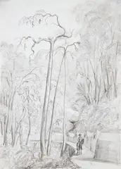 Robert Lewis, Corcovado, 1848, grafite sobre papel