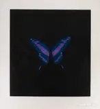 Damien Hirst, Six Butterfly, fotogravura