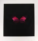 Damien Hirst, Six Butterfly, fotogravura