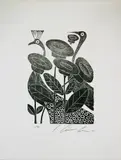 Ciro Fernandes, Sem Título, 1981, xilogravura