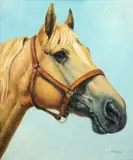 Cavalo by Ely Rocha, óleo sobre tela, offered Jan 2026