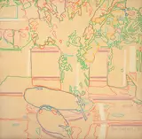 Newton Mesquita, Transparente