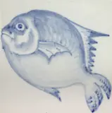 Paulo Rossi Osir, Peixe