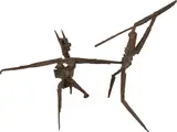 Mário Cravo, Luta de Exus, 1955, escultura em fundição de ferro