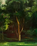 Enrico Bianco, Paisagem Com Árvores, óleo sobre placa