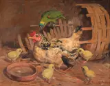 Benedito José De Andrade, Aves, óleo sobre tela