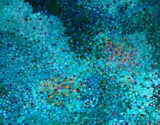 Wonderful Universe by Marysia Portinari, 2024, óleo sobre tela, offered Jul 2024