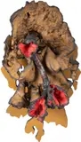 Frans Krajcberg, Sem Título, escultura em madeira