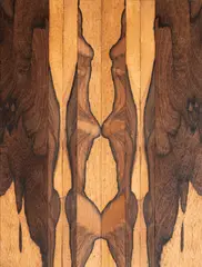 Abraham Palatnik, Progressão, 1967, jacarandá