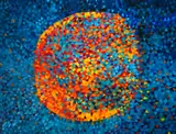 Super Nova Johannes Kepler by Marysia Portinari, 2024, óleo sobre tela, offered May 2024