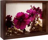 Flores by Jeanete Musatti, técnica mista, offered Jan 2024