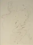 Ivan Serpa, Nu Feminino, 1967, sépia sobre papel