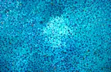 As Pleiades by Marysia Portinari, óleo sobre tela, offered Oct 2023