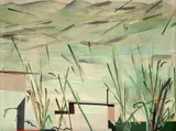 Takashi Fukushima, Cidade de campo