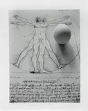 Anna Maria Maiolino, Série Leonardo