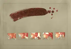 Sem Título by Carlos Vergara, técnica mista sobre papel, offered Aug 2023