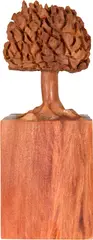 Árvore by José Bento, escultura em madeira, offered Aug 2023
