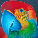 Claudio Tozzi, Papagalia, 1979, acrílica sobre tela colada em placa