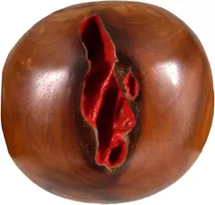 Bahia - Natureza by Marcio Lima, escultura em madeira, offered Jun 2023