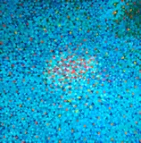 Pequena Nuvem de Magalhães by Marysia Portinari, 2023, óleo sobre tela, offered Jun 2023
