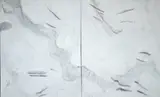 Takashi Fukushima, Díptico Branco