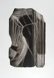 Maria Bonomi, Elektra
