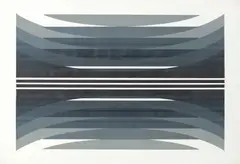 Gradação Justaposta L.IV by Odetto Guersoni, 1980, xilogravura, offered Mar 2023