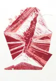 Maria Bonomi, Amapola Rosa