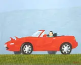 Gustavo Rosa, Série Carros - O artista no carro vermelho
