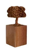 José Bento, Árvore, escultura em madeira