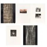 Evandro Carlos Jardim, Figuras - Álbum com 10 Gravuras, serigrafia