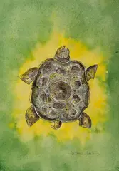 Tartaruga by Aldemir Martins, desenho a nanquim e aquarela, offered Aug 2022