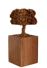 Árvore by José Bento, escultura em madeira, offered Aug 2022