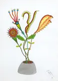 Roberto Magalhães, Flores