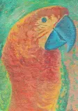 Claudio Tozzi, Arara, óleo sobre placa
