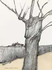 Tronco by Aldemir Martins, 1974, nanquim sobre papel, offered Aug 2022