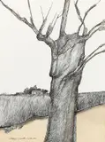 Tronco by Aldemir Martins, 1974, nanquim sobre papel, offered Aug 2022