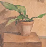 Fulvio Pennacchi, Vaso de Planta